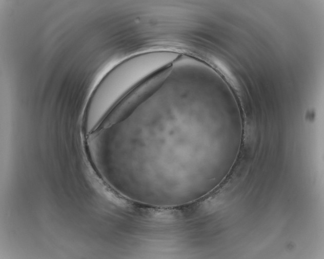 X0000092300899200709141317