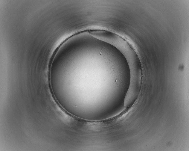 X0000092300902200709141317