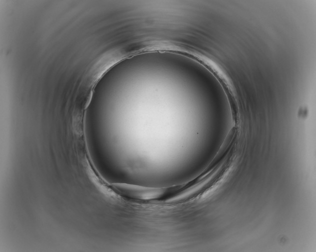 X0000092300905200709141317