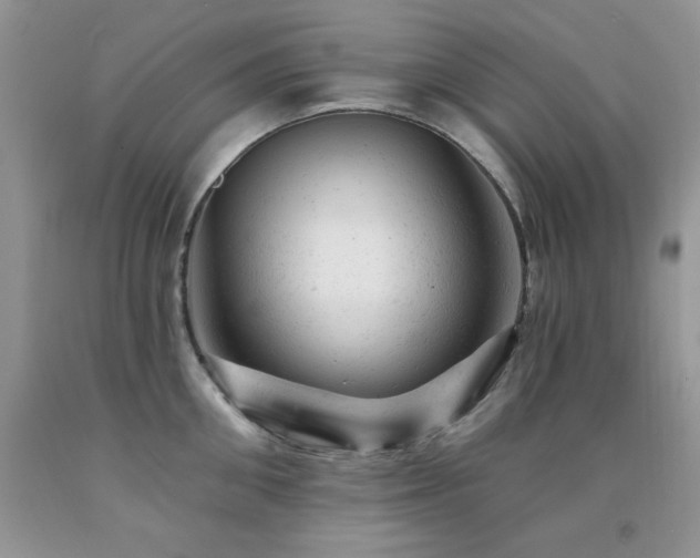 X0000092300906200709141317