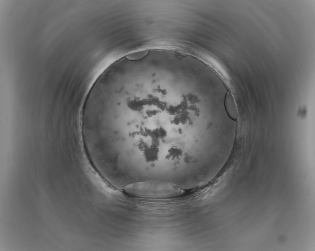 X0000092300907200709141317