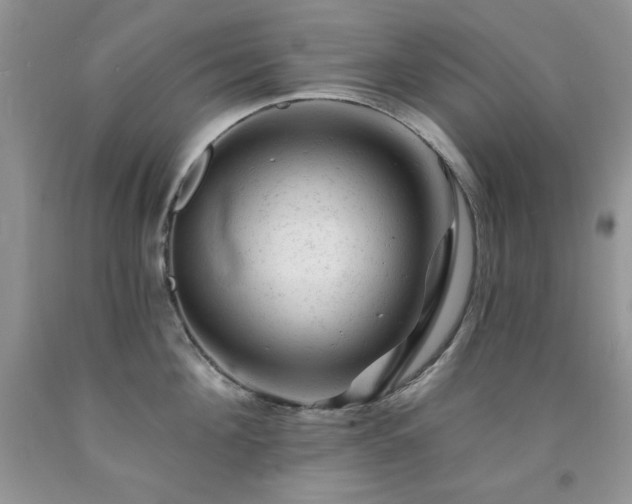 X0000092300908200709141317