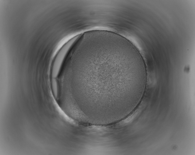 X0000092300910200709141317