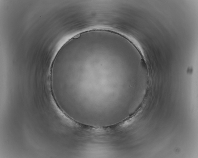 X0000092300911200709141317