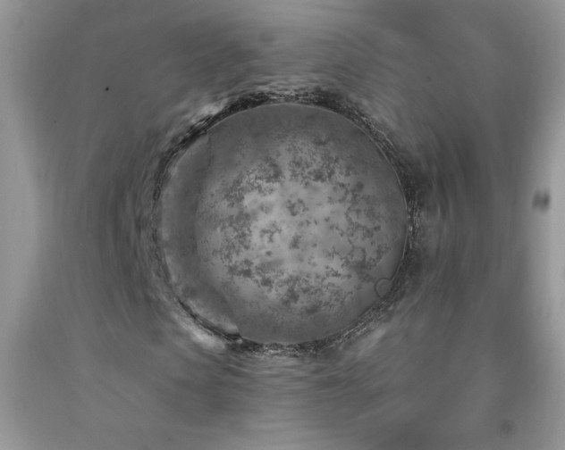 X0000092300913200709141316