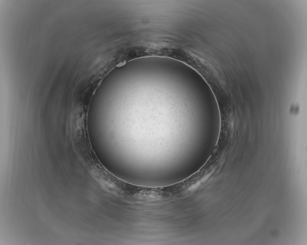 X0000092300914200709141316