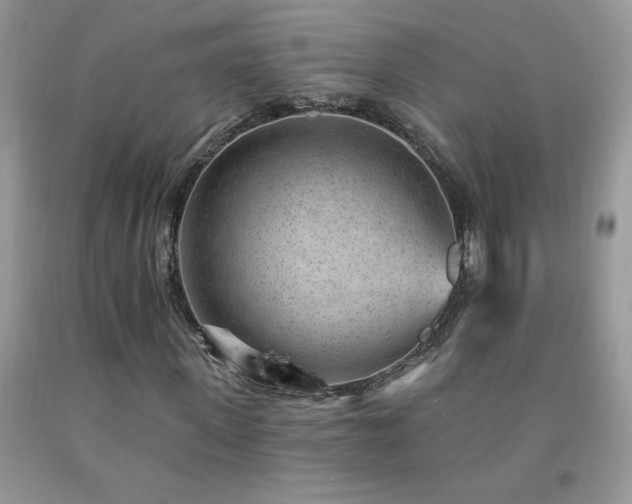 X0000092300915200709141316