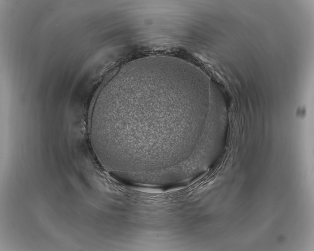 X0000092300916200709141316