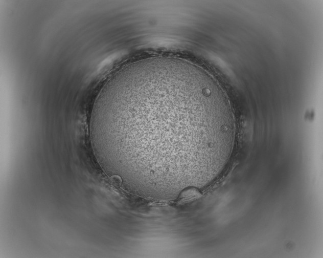 X0000092300918200709141316