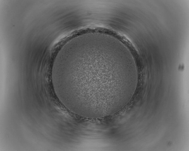 X0000092300919200709141316