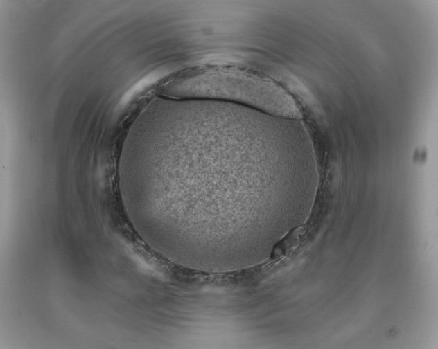 X0000092300920200709141316