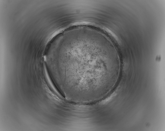 X0000092300921200709141316