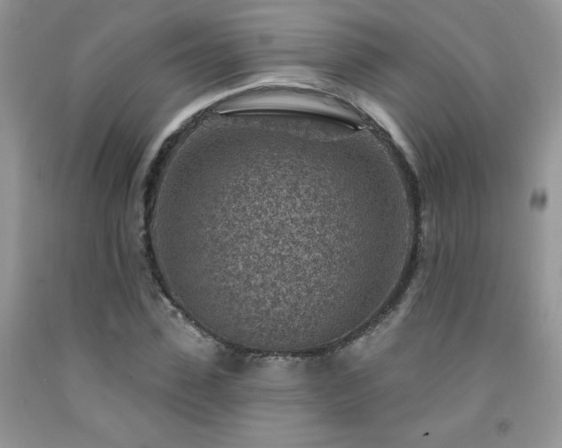 X0000092300923200709141316