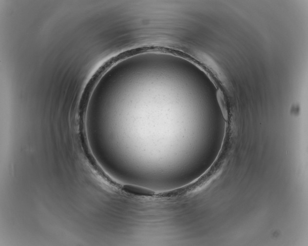 X0000092300924200709141316