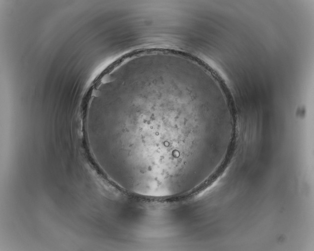 X0000092300925200709141316