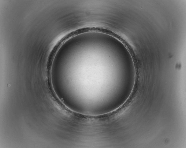X0000092300927200709141317