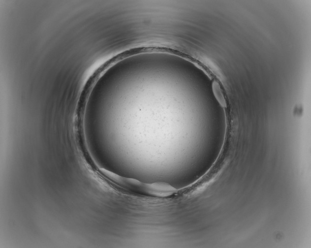 X0000092300928200709141317