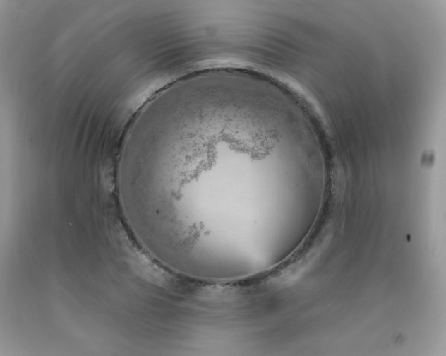 X0000092300929200709141317