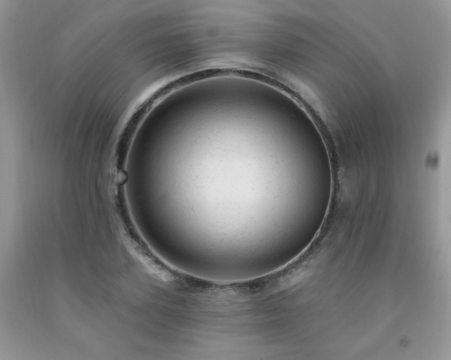 X0000092300931200709141317