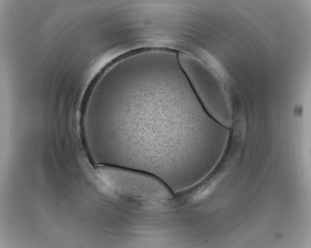 X0000092300932200709141317