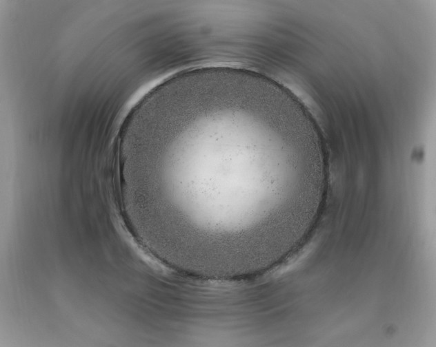 X0000092300933200709141317