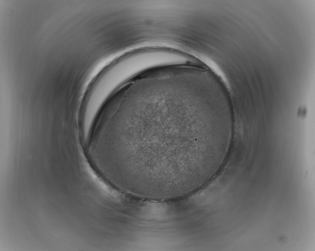 X0000092300935200709141317
