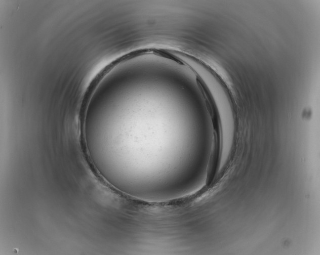 X0000092300936200709141317