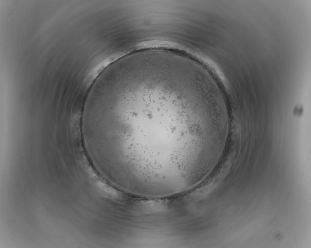 X0000092300937200709141317