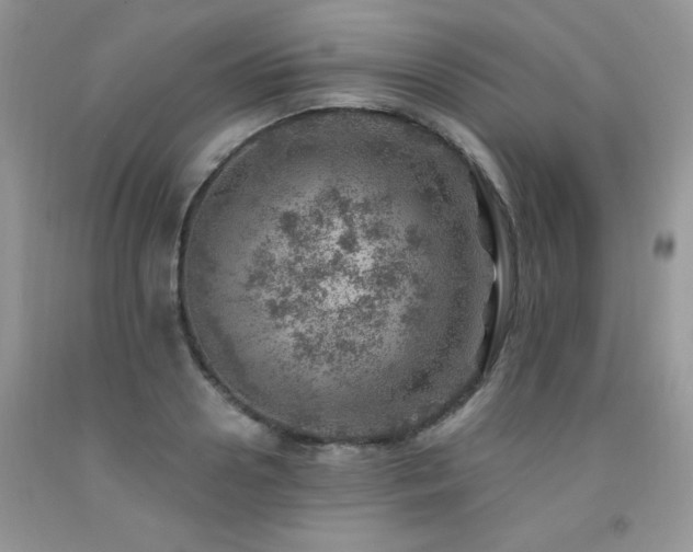 X0000092300938200709141317