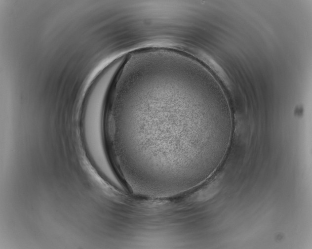 X0000092300939200709141317