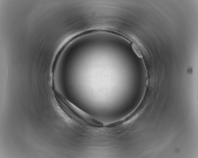 X0000092300940200709141317