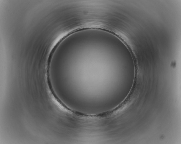 X0000092300941200709141317