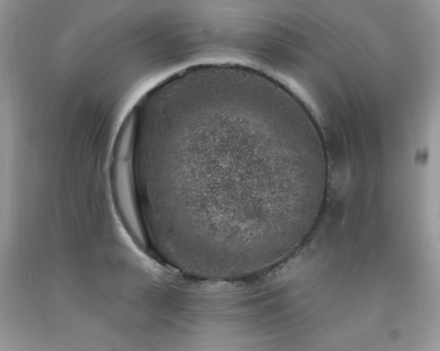 X0000092300943200709141317