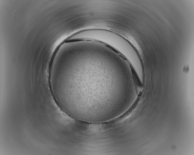 X0000092300944200709141317