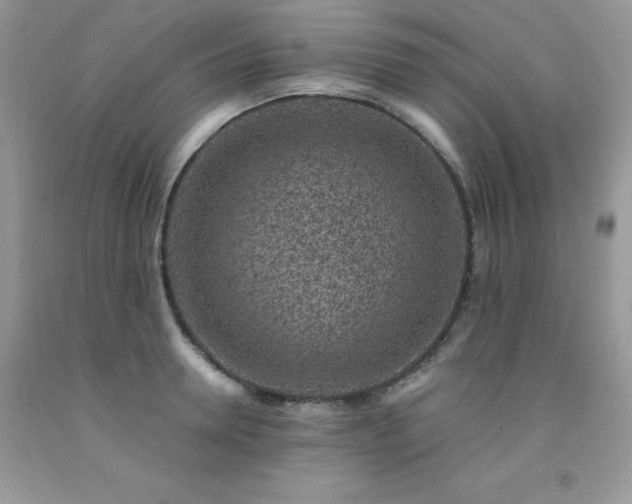 X0000092300946200709141317