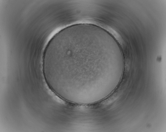 X0000092300950200709141317