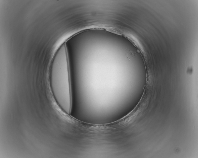 X0000092300952200709141317