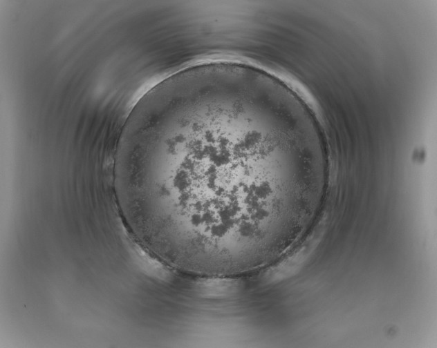 X0000092300953200709141317
