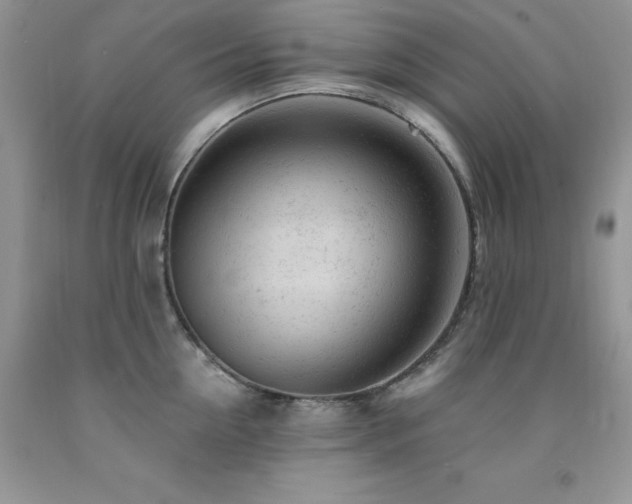 X0000092300954200709141317