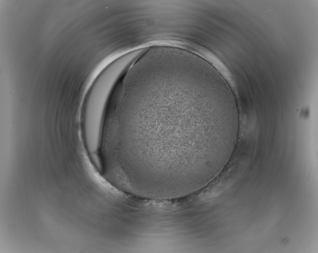 X0000092300955200709141317