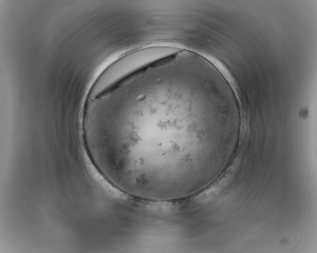 X0000092300957200709141317