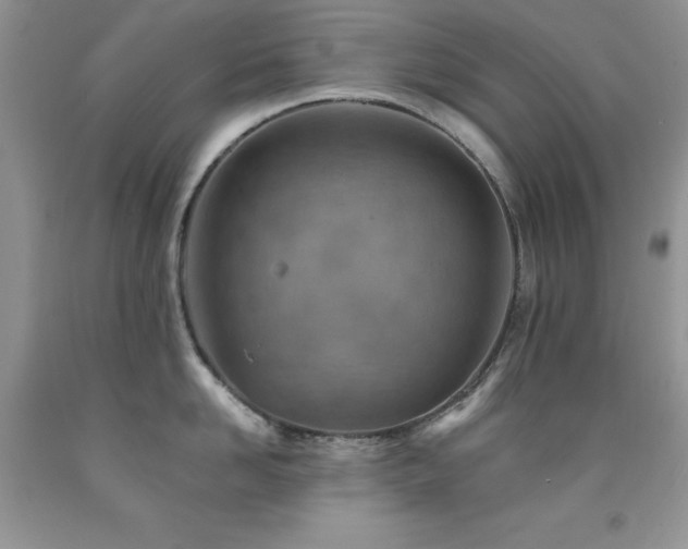 X0000092300958200709141317