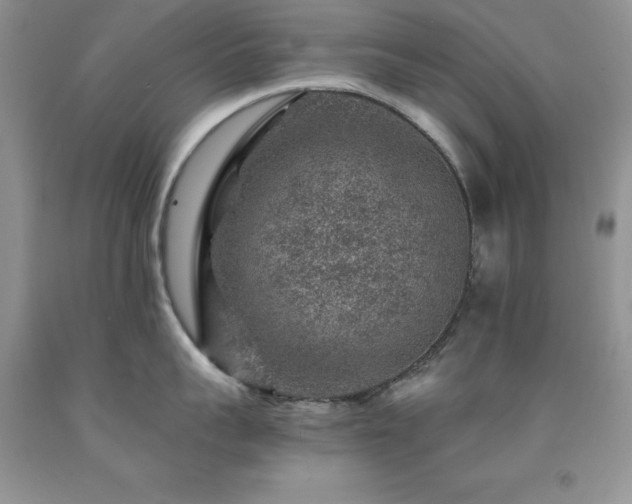 X0000092300959200709141317
