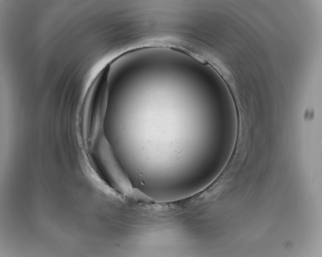 X0000092300960200709141317