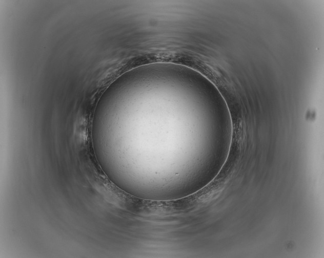 X0000092300962200709141316
