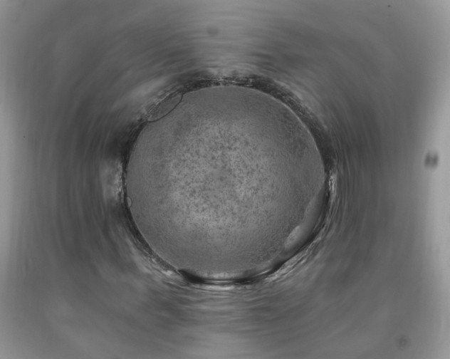 X0000092300963200709141316
