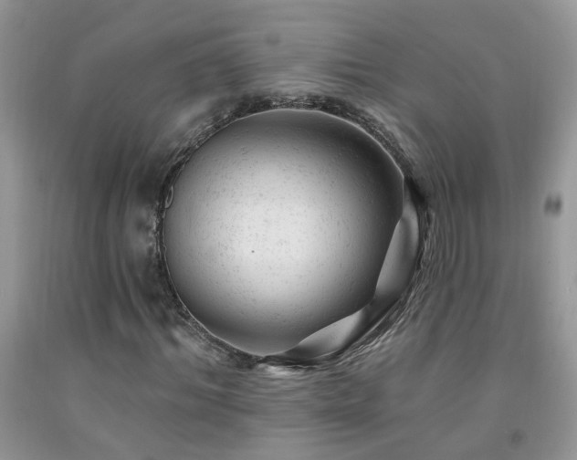 X0000092300964200709141316