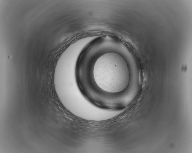 X0000092300965200709141316