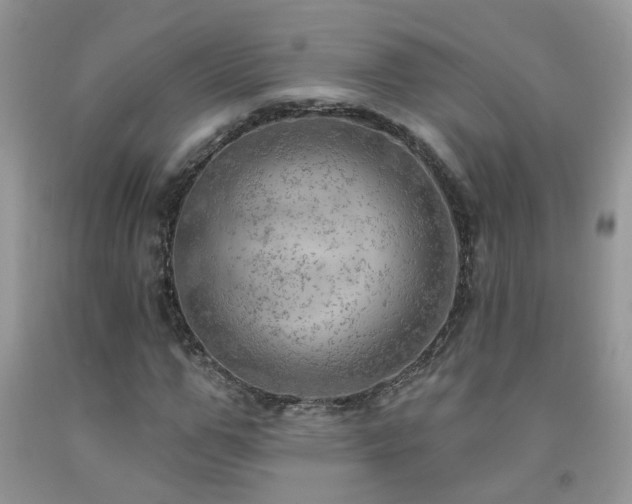X0000092300967200709141316