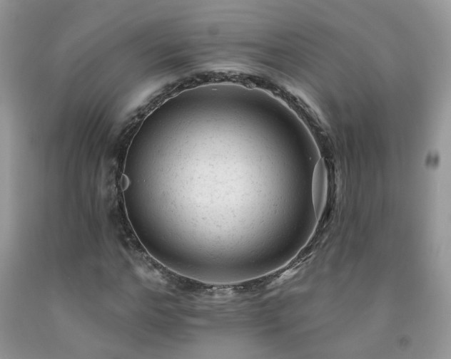X0000092300968200709141316